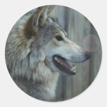 Mexican Wolf Stickers
