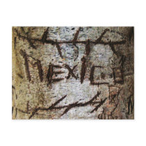 "Mexico" Carved Tree Graffiti