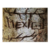 "Mexico" Carved Tree Graffiti Postcard