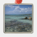 Mexico, Cozumel, Punta Morena, the east coast 2 Ornaments