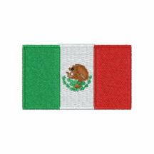 Mexico flag embroidered men's polo shirt