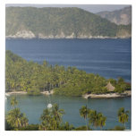 Mexico, Guerrero, Zihuatanejo. Playa Las Gatas- Tile