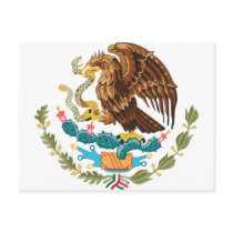 Mexico MX Postcards