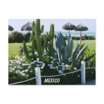 MEXICO POSTCARDS