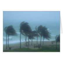 Miami Beach, Florida, hurricane winds lashing Card