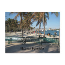 Miami Florida Postcards