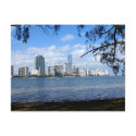 Miami Skyline postcards