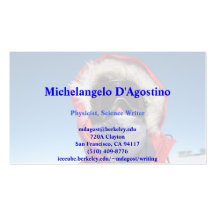 Michelangelo's Business Card