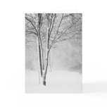 Michigan Blizzard Greeting Card