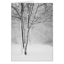 Michigan Blizzard Greeting Card