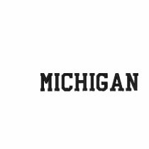 Michigan Embroidered Ladies Long Sleeve White