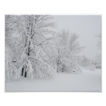 Michigan Winter Wonderland Photographic Print