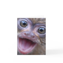 Mico The Mighty Marmoset Notecards