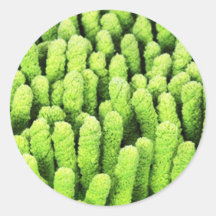 Microfibre cloth sticker