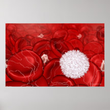 Microscopic look at blood cells print