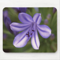 Microscopic View Mouse Pads