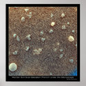 Microscopic View of Martian Soil posters