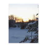 Mid January Winter Sunrise Post Card
