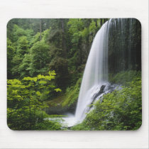 Middle North falls, Silver Falls State Park,