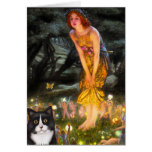 MidEve - Am SH black and white cat Greeting Cards