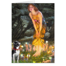 MidEve - Boston Terrier #2 Greeting Cards
