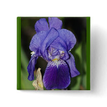 Midinight Iris Floral Gift Button