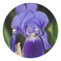 Midinight Iris Floral Gift Stickers