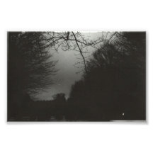midmorning photographic print