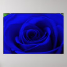 Midnight Blue Posters