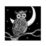 Midnight Owl T-shirt