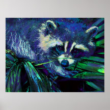midnight racoon posters
