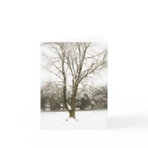 Midst of Storm (Note Cards)