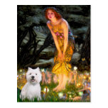 Midsummers Eve - Westie 2 Postcard