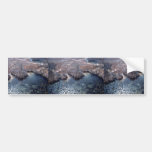 Miele Dump Leaching Bumper Sticker