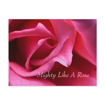 Mighty Like A Rose Postcard by Rmunnie