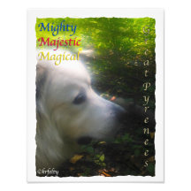 Mighty Pyrenees Photograph