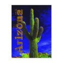 Mighty Saguaro (118), Arizona postcards