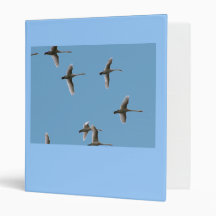 migratory birds 3 ring binder