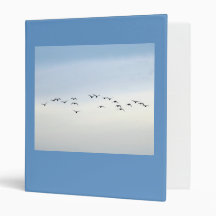 migratory birds 3 ring binders