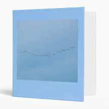 migratory birds binders