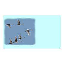 migratory birds business cards