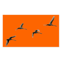 migratory birds business cards
