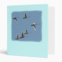migratory birds vinyl binders