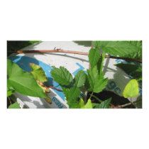 Milk Carton Photo Card