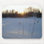 Milkweed in February at Sunrise Mousepads
