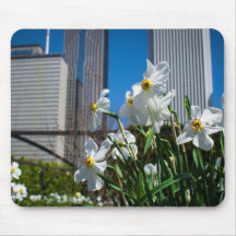 Millennium Park Chicago Mousepad