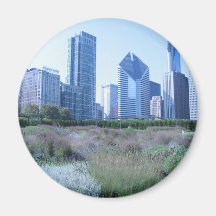 Millennium Park Magnets
