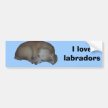 Millie copy, I love labradors Bumper Stickers
