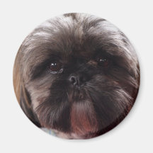 Millie magnet