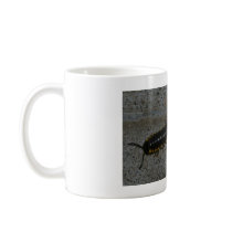 Millipede Mug